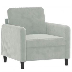 vidaXL Fauteuil 60 cm fluweel lichtgrijs