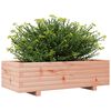 vidaXL Plantenbak 90x40x26,5 cm massief douglashout