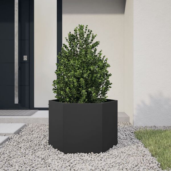vidaXL Plantenbak zeshoek 69x60x45 cm staal zwart