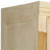 vidaXL Kledingkast 60x50x200 cm massief mangohout
