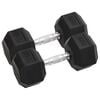 vidaXL Halters 2 st 10 kg totaal gietijzer