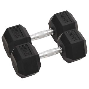 vidaXL Halters 2 st 10 kg totaal gietijzer