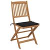 vidaXL Tuinstoelen 2 st inklapbaar met kussens massief acaciahout