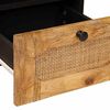 vidaXL TV-kast met lade Bruin 70 x 33 x 46 cm Massief Mango Hout