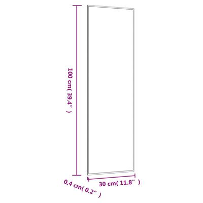 vidaXL Wandspiegel 30x100 cm rechthoekig glas