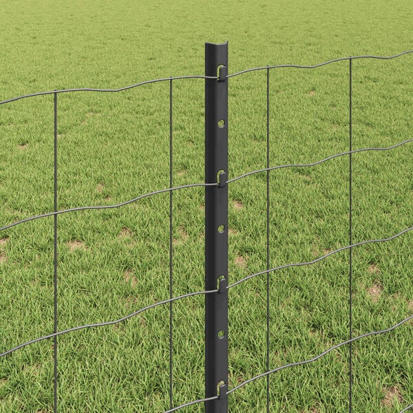 Productafbeelding 4 van 7