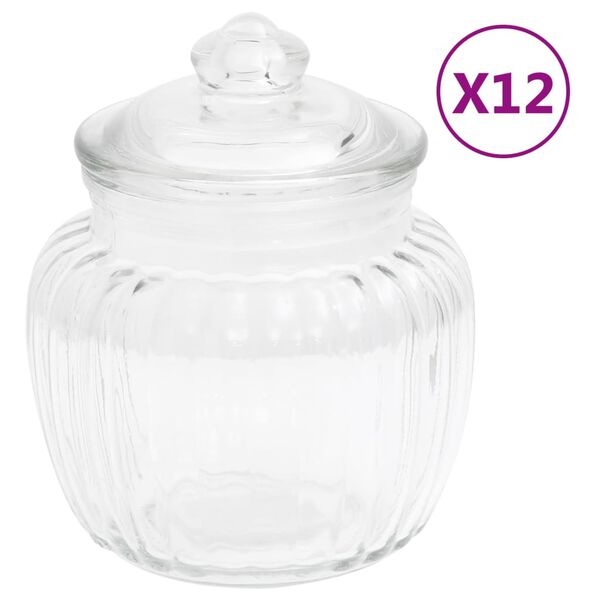 vidaXL Opbergpotten 12 st 500 ml glas