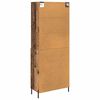 vidaXL Hoge kast Oud Hout 69,5 x 32,5 x 180 cm Bewerkt hout