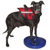 FitPAWS Dierenbalansschijf 36 cm blauw