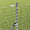 Miniatuurafbeelding van het product 4 van 15