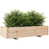 vidaXL Plantenbak 110x40x26,5 cm massief grenenhout