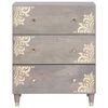vidaXL Dressoir Grijs en Goud 60 x 33 x 75 cm Massief Mango Hout