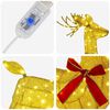 Miniatuurafbeelding van het product 5 van 6