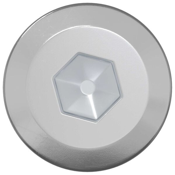 vidaXL Houten Schroeven 12 pcs Zilver M6 x 70 mm Staal