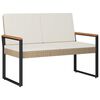 vidaXL Tuinbank 2 -Seater 107 x 61 x 80 cm poly rattan Rechthoekig