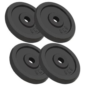 vidaXL Halterschijven 4 st 4x5 kg gietijzer