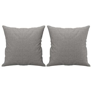 vidaXL Sierkussens 2 st 40x40 cm stof lichtgrijs