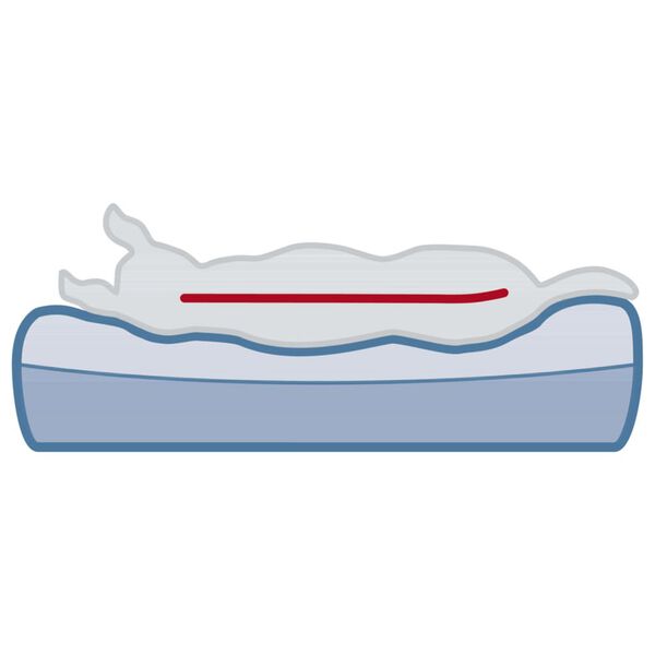 TRIXIE Dierenmand Bendson Vital 100x80 cm grijs