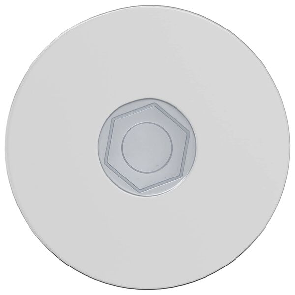 vidaXL Bout 2 pcs Verzinkt 5 x 40 mm IJzer