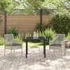 vidaXL Tuinstoel 2 pcs Lichtgrijs 53 x 60 x 85cm poly rattan
