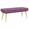 vidaXL Dubbel Laagige Bank Paars 120 x 45 x 46 cm fluweel