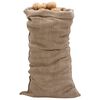 vidaXL Jutezakken 10 stuks 220 g/m&sup2; 65x135 cm 100% jute