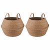 vidaXL Plantenpot met handvatten 2 pcs Naturel &Oslash; 45 x 36 cm