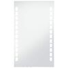 vidaXL Badkamerspiegel LED 60x100 cm