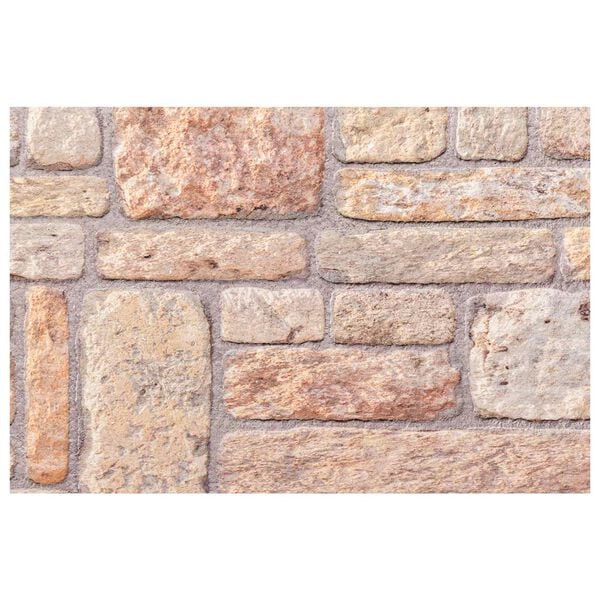 vidaXL Wandpanelen 10 pcs Lichtbruin en wit 100 x 50 cm EPS-schuim