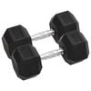 vidaXL Halters 2 st 15 kg totaal gietijzer