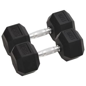 vidaXL Halters 2 st 15 kg totaal gietijzer
