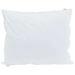 vidaXL Hoofdkussen met kussen 2 pcs Wit 60 x 70 cm Veren