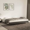 vidaXL Bedframe zonder matras 200x200 cm fluweel donkergrijs