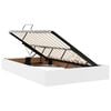 vidaXL Opslag bed met matras met matras Wit 120 x 200 cm Nep Leer