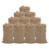 vidaXL Jutezakken 10 stuks 65x135 cm 100% jute 340 g/m&sup2;