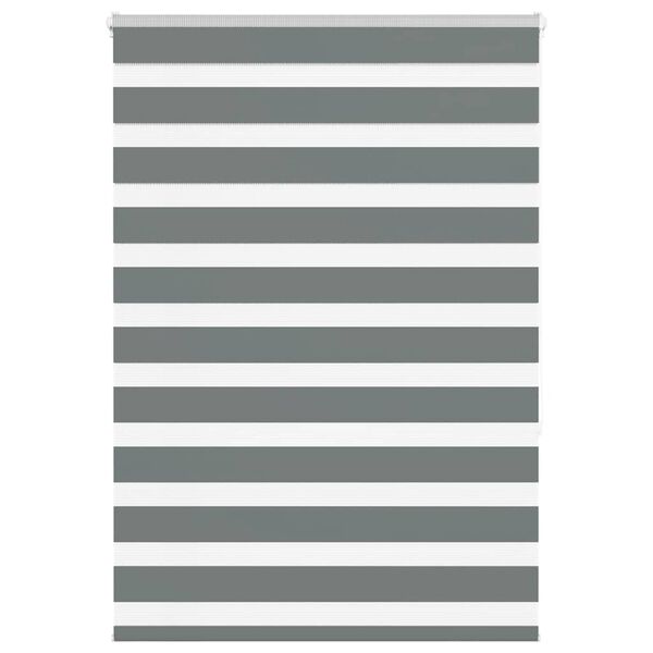 vidaXL Zebra rolgordijn 100x150 cm stofbreedte 95,9 cm donkergrijs