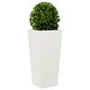 Miniatuurafbeelding van het product 4 van 12