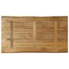 vidaXL Tafelblad met natuurlijke rand 120x60x3,8 cm massief mangohout