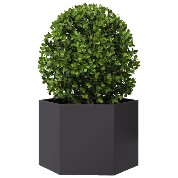 vidaXL Plantenbak zeshoek 69x60x45 cm staal zwart