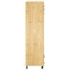vidaXL Kast SKI HoningBruin 66 x 58 x 207 cm Massief grenenhout