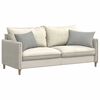 vidaXL Sofa Kussens 2 stuks Lichtgrijs 60 x 40 cm Stof