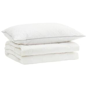 vidaXL 90% ganzen dons dekbedset FULDA 2 st 135 x 200 cm Zomer 100 GSM