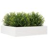 vidaXL Plantenbak 100x100x23 cm massief grenenhout wit
