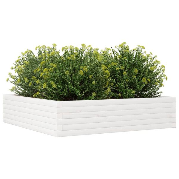 vidaXL Plantenbak 100x100x23 cm massief grenenhout wit