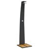 vidaXL Buitendouche 55x60x224 cm poly rattan en acaciahout zwart