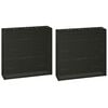 vidaXL Plantenbak verhoogd met 4 potten 2 st poly rattan zwart