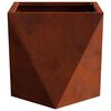 vidaXL Plantenbak 2 pcs Roestig 30 x 30 x 30 cm Cortenstaal