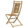 vidaXL Tuinstoelen 2 st inklapbaar 46x66x99 bamboe