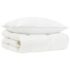 vidaXL 90% ganzen dons dekbedset FULDA 2 st 152 x 203 cm 210 GSM Wit