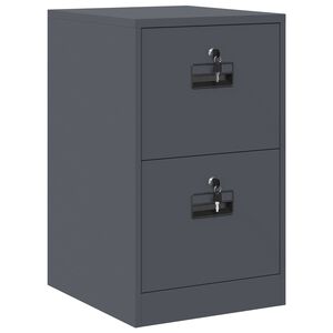 vidaXL Bestandenkast Antraciet 44 x 50 x 74,5 cm Koudgewalst Staal